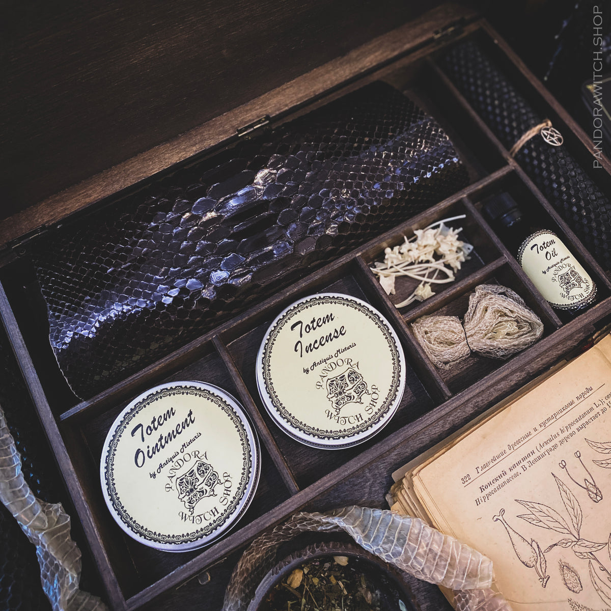 Divination Spell - Witch Kit – Pandora Witch Shop